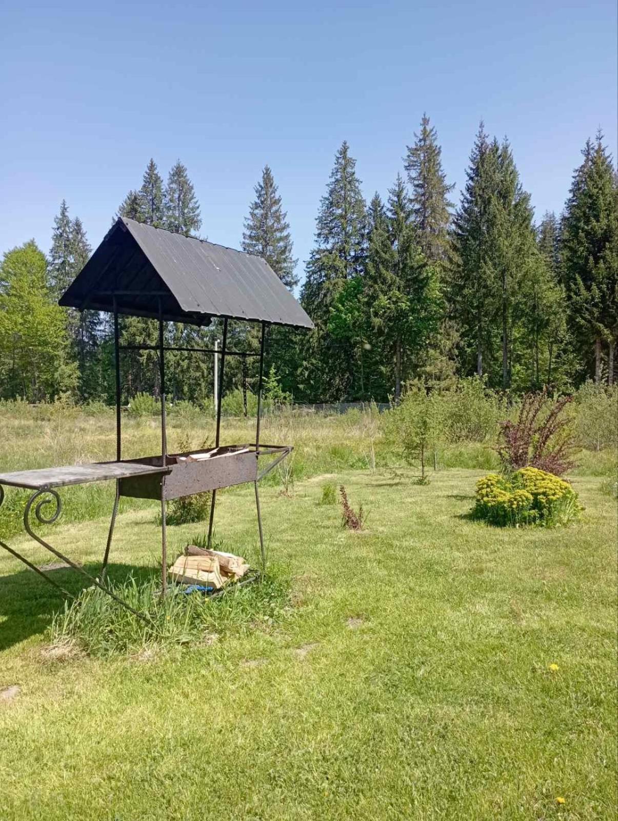 U Anastasii I Sofii Bilya Richki Guest House Mykulychyn Bagian luar foto