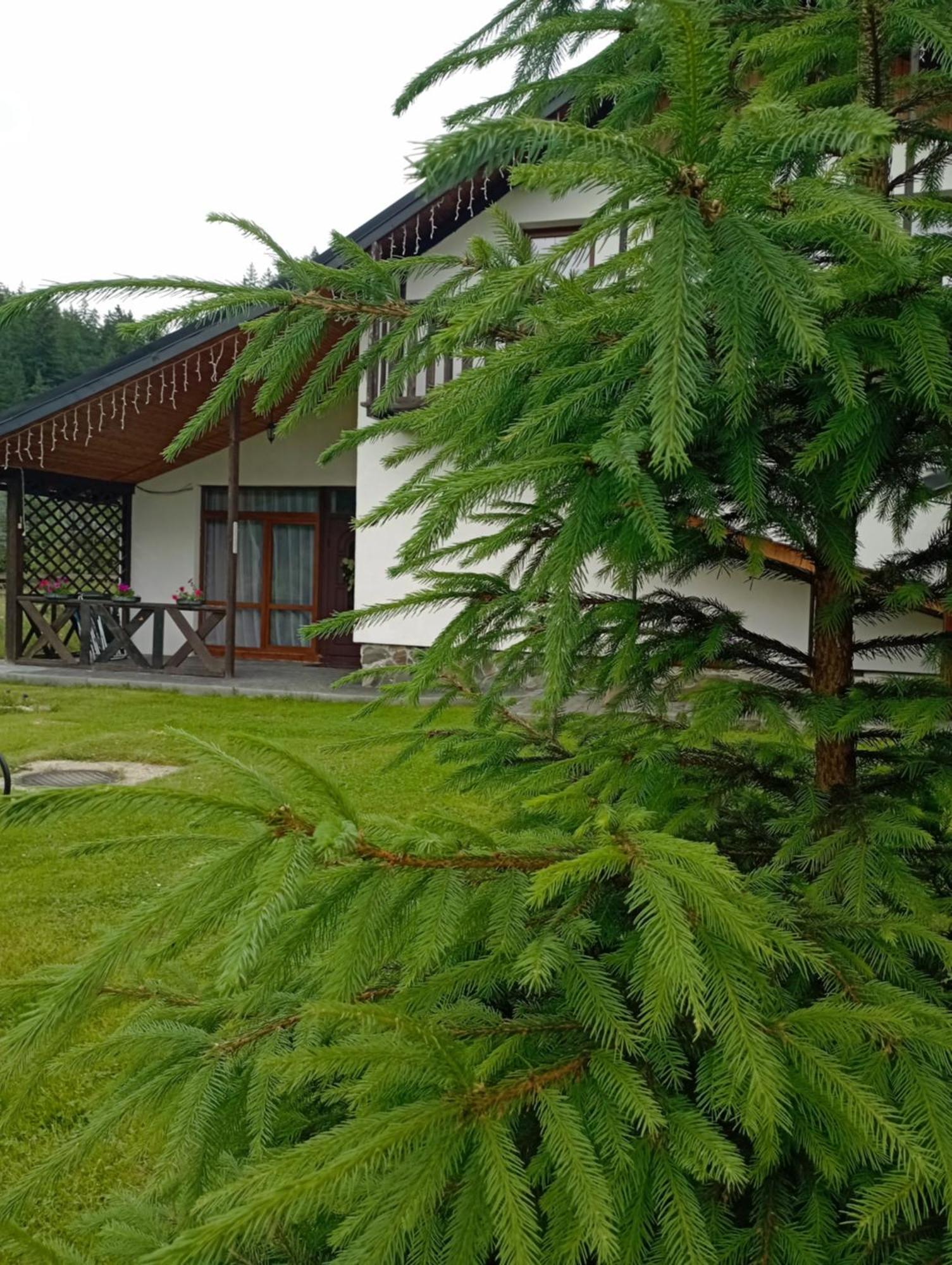 U Anastasii I Sofii Bilya Richki Guest House Mykulychyn Bagian luar foto