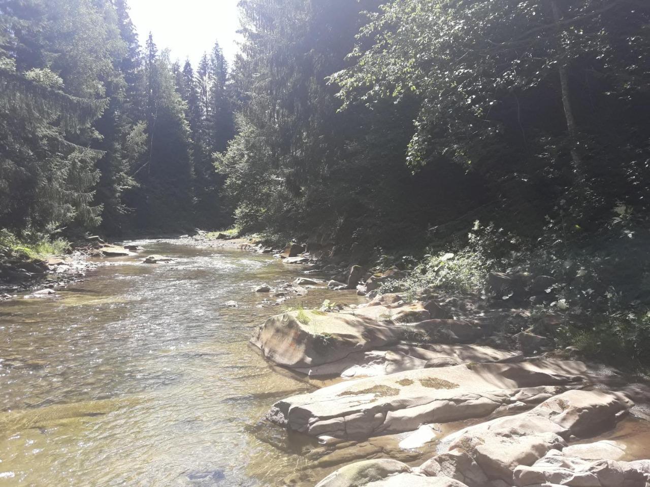 U Anastasii I Sofii Bilya Richki Guest House Mykulychyn Bagian luar foto